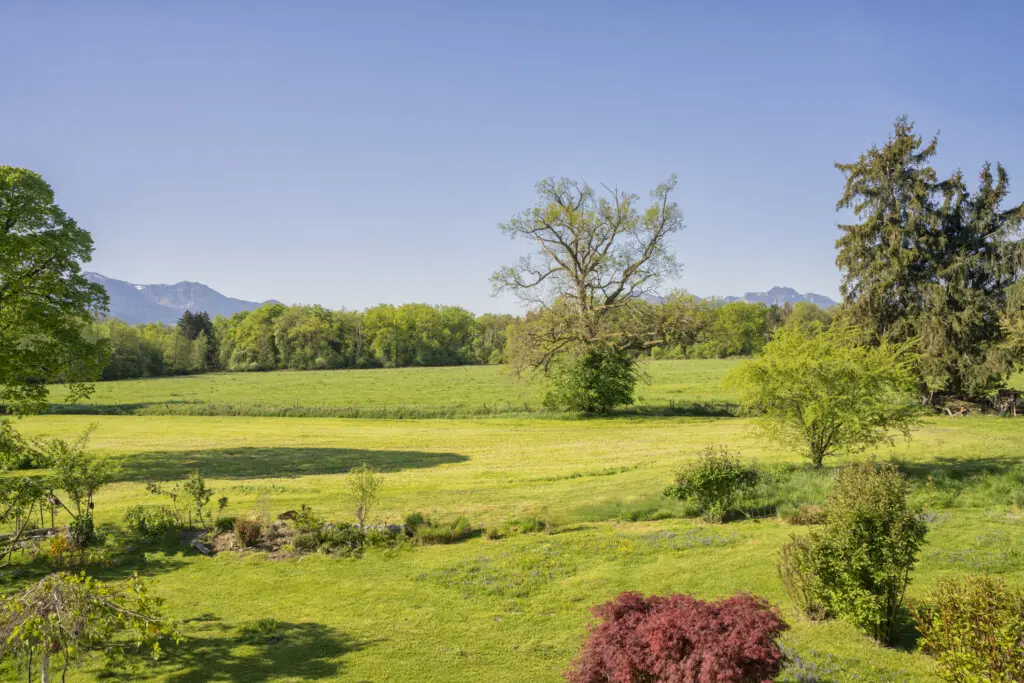 Blick_Chiemsee_Sonne